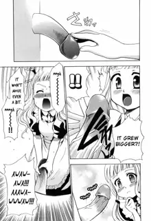 Alice no Himegoto Ch.1-3, English