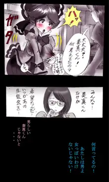 強制女装学園・白百合学級 ～淫女体化へと身も心も魔改造されてく学園ヒーロー～, 日本語