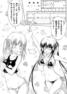 女体化DTとおっぱいJD! 2, 日本語