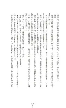 守護姫 淫神復活の宴, 日本語