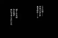 怪奇譚2―廃校舎の怪現象―制服美少女の肉体にまとわりつく怨霊の影, 日本語