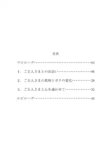 ふたなりお嬢さまとTS奴隷ロリエルフのお話, 日本語