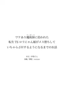 ワケあり魔術師に拾われた転生TSロリにゃん娘がメス堕ちしていちゃらぶHするようになるまでのお話, 日本語