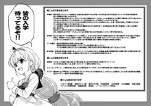 Futanari Gakuen Plus, 日本語