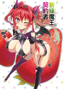 新妹魔王の 契約者 テスタメント, 日本語