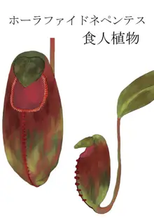 Anthropophagist Plant Analysis, 日本語