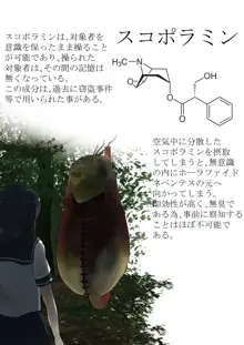 Anthropophagist Plant Analysis, 日本語