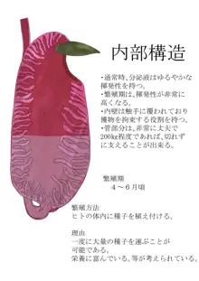 Anthropophagist Plant Analysis, 日本語