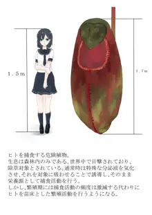 Anthropophagist Plant Analysis, 日本語