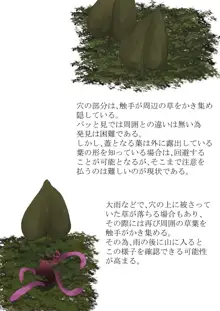 Anthropophagist Plant Analysis, 日本語