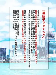 少子化対策法案 遺伝子マッチングで母さんとマッチングしちゃった!?, 日本語