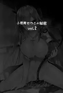 小悪魔せつこの秘密 vol.2, 中文