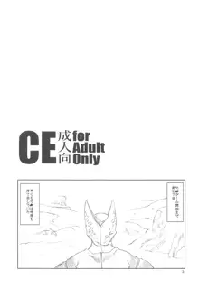 CE, 日本語