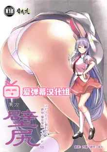 Touhou Kabeshiri 10 Reisen Udongein Inaba, 中文