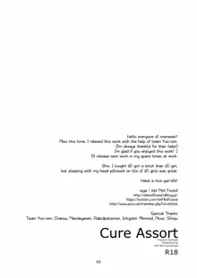 Cure Assort Selection, English