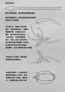 寄生虫系列, 中文