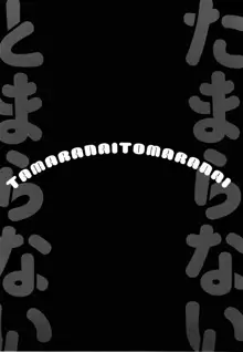 Tamaranai Tomaranai | 참을수 없어 멈추 지 않아, 한국어