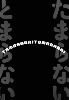 Tamaranai Tomaranai | 참을수 없어 멈추 지 않아, 한국어