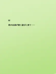 近所の悪ガキたちに……, 日本語