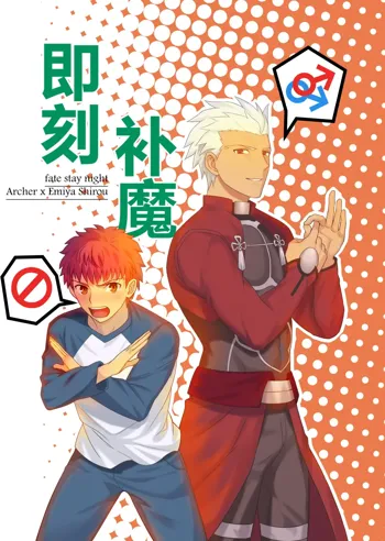 Archer x Emiya Shirou, 中文