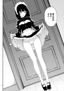 Maid Kyouiku. -Botsuraku Kizoku Rurikawa Tsubaki-, 中文