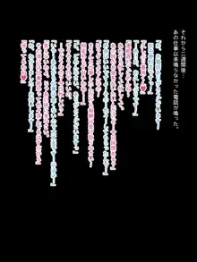 くどらぼ総集編, 日本語