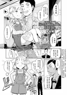 Awa no Ohime-sama #12-15, 中文