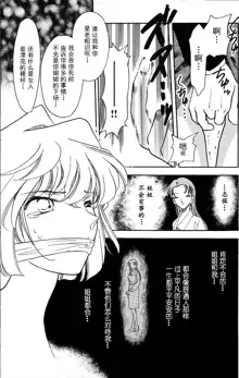 Sherry (Ho He To 19) (Detective Conan) [Chinese] | “啊…雪莉……” （灰原哀99年古早本）【汉化】, 中文