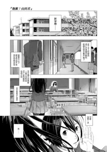 Hijitsuzaisei Shoujo - Nonexistent girl, 中文