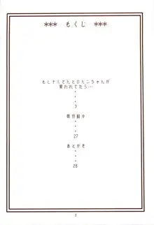 ナミの航海日誌EX ナミロビ3, 日本語