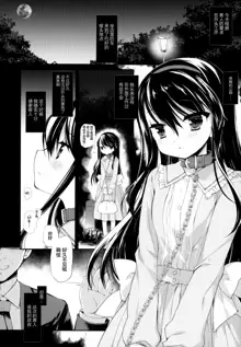 Botsuraku Ojou-sama Kyousei Fuuzoku Ochi Last, 中文