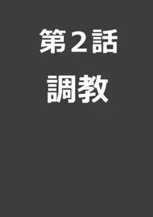 捕らわれの女騎士2, 日本語