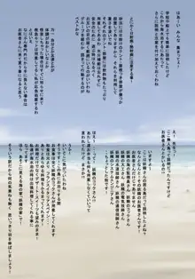 学校の怪しい談 ～第三夜・南の海の妖精島, 日本語