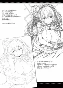 Hai. Teitoku Sara wa Koko ni. | 네. 제독, 사라는 여기에., 한국어