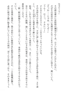 兄妹ですが異世界で結婚しました。 かけおちスローライフ, 日本語