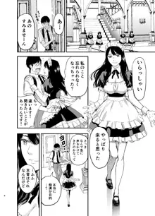 メイドさんにご相談!, 日本語