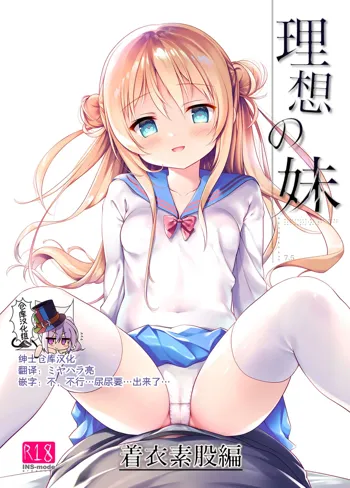 Risou no Imouto Chakui Sumata Hen, 中文