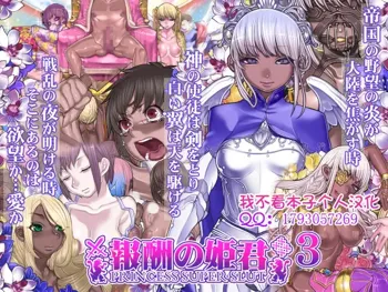 Houshuu no Himegimi Princess Super Slut 3, 中文