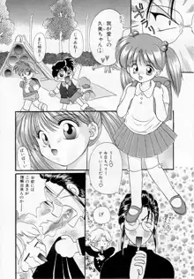 幼女飼育, 日本語