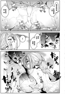 Shinshi Tsuki Maid no Sophie-san 5, 中文