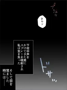 ねえ、もういいでしょ…早く家に帰して…, 日本語