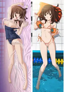 DM Dakimakura Art Collection EX1.0, 日本語