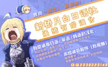 Fuuzokujou Artoria Lancer~, 中文