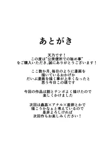 公衆便所での秘め事, 日本語