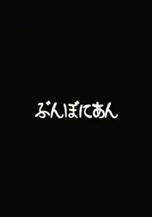 トイレの正しい使い方, 日本語