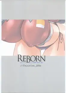 REBORN, 日本語