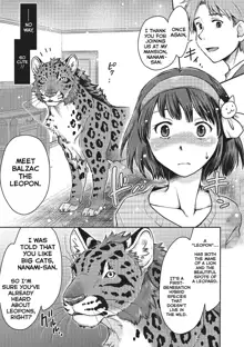 Love Love Ecchi o Big Cat to | Lovey-Dovey Sex with Big Cats (decensored), English