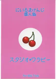 摩央姉ちゃ～ん, 日本語