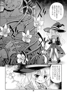 わからせてやりたい灰の魔女の物語, 日本語