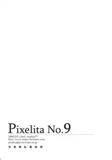 PixelitA 09, 日本語